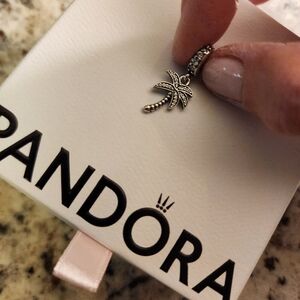 Pandora Charm